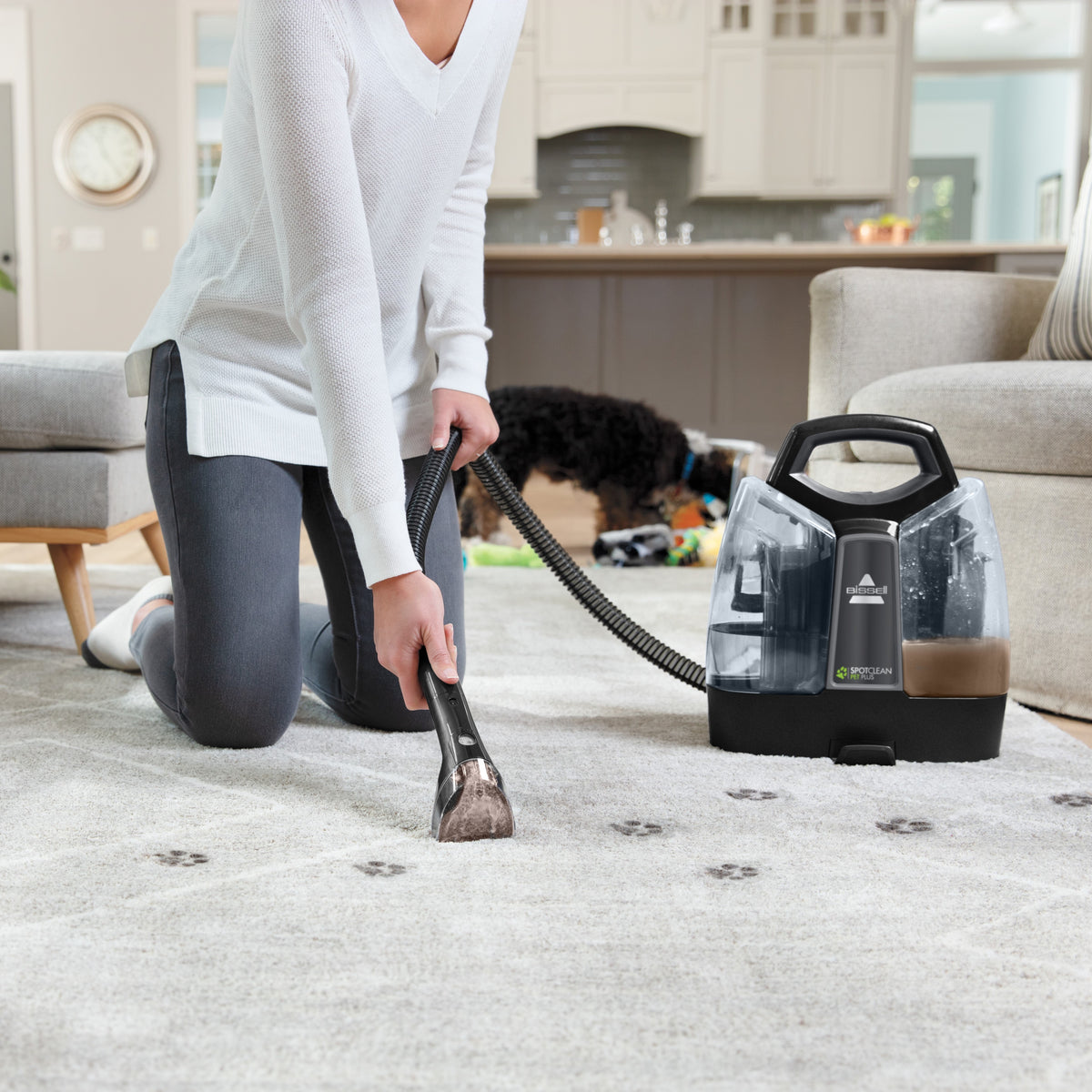 SpotClean® Pet Plus
